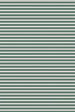 Milky - Fern Stripe Bubbysuit