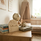 Timber Tinkers - Hello World Dino Birth Disc
