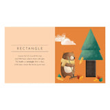 Sassi - Sassi Touch & Feel Pocket Book - Shapes