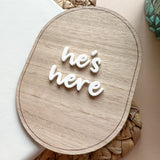 Little Rabbit Lane - She's Here / He's Here Announcement