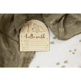 Timber Tinkers - Hello World Dino Birth Disc