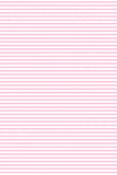 Milky - Pink Stripe Rib Bubbysuit