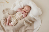 Aster & Oak - Beige Plaid Overalls