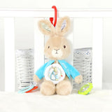 Peter Rabbit - PETER RABBIT ACTIVITY TOY