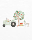Bebe - SCOUT ORGANIC TRACTOR TEE