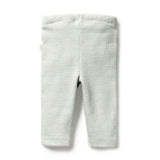 Wilson & Frenchy - Organic Stripe Rib Legging - Fern
