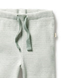Wilson & Frenchy - Organic Stripe Rib Legging - Fern