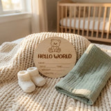 Timber Tinkers - Hello World Teddy Bear