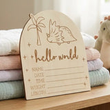 Timber Tinkers - Hello World Dino Birth Disc