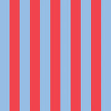 Project Ten - Laptop Case – Red Blue Stripe