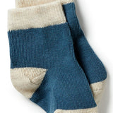 Wilson & Frenchy - Organic 3 Pack Socks - Bluestone