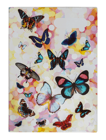 Spencil - A4 Book Cover - Butterflies