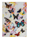 Spencil - A4 Book Cover - Butterflies