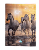 Spencil - A4 Book Cover - Cosmic Canter