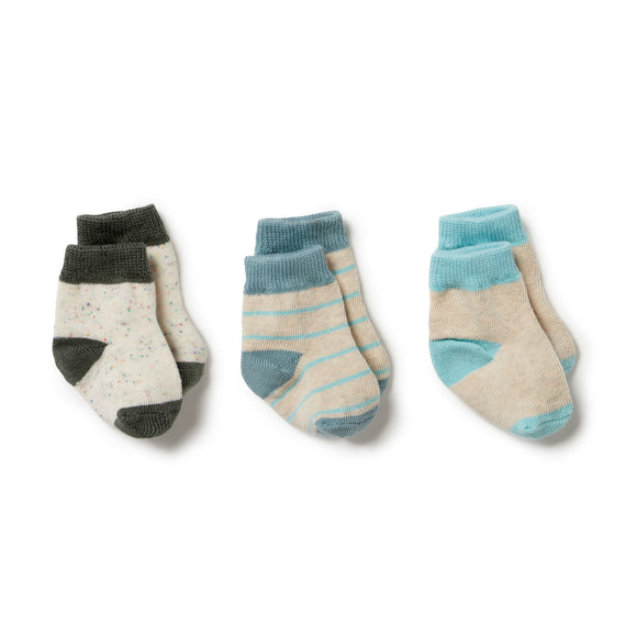 Wilson & Frenchy - Organic 3 Pack Baby Socks - Shadow/Artic/Mint