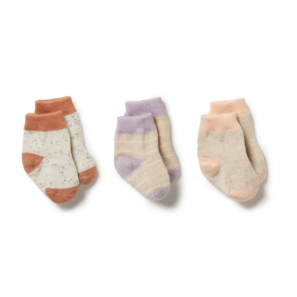 Wilson & Frenchy - Organic 3 Pack Baby Socks - Cream tan/Lilac Ash/Cameo Rose
