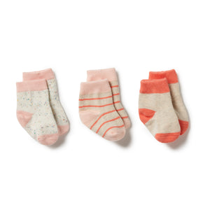 Wilson & Frenchy - Organic 3 Pack Baby Socks - Silver Peony/Fog/Coral