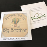 Promoted To Disc - Big Brother